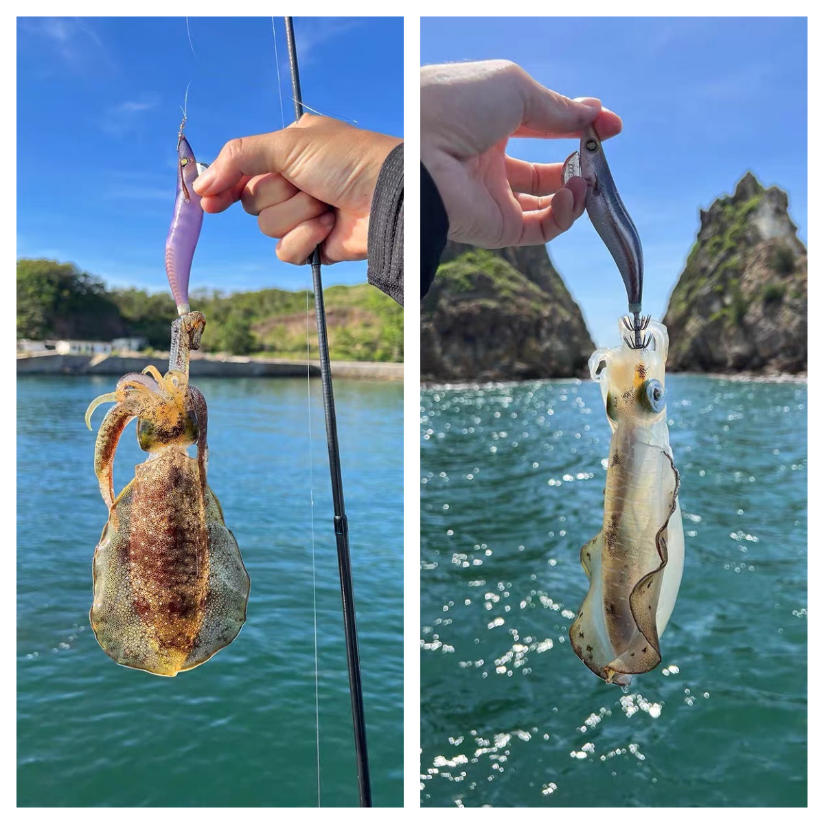 Squid jigs